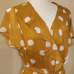 Danny and Nicole Dress